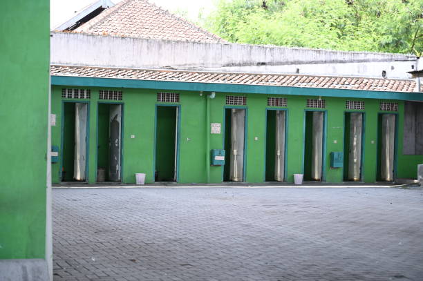 Best Affordable portable toilet rental  in Palmview, TX